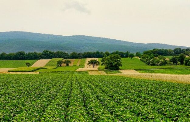 nature-3526840_640-640×410