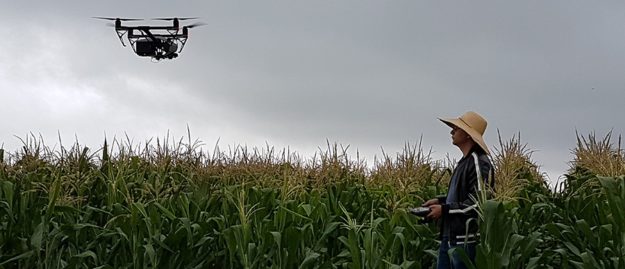 sistema-de-contagem-automatica-de-plantas-com-drones