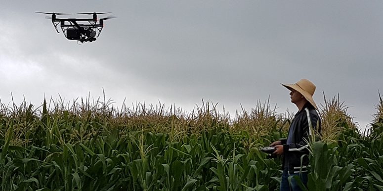 sistema-de-contagem-automatica-de-plantas-com-drones